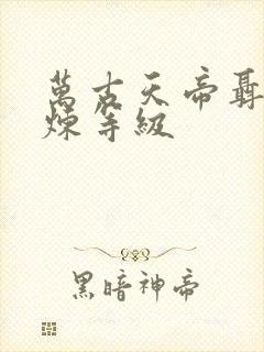 万古天帝聂天修炼等级