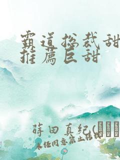 霸道总裁甜宠文推荐巨甜