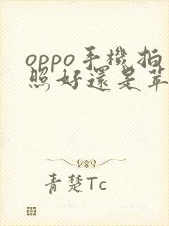 oppo手机拍照好还是苹果手机拍照好