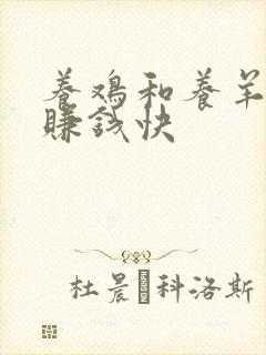 养鸡和养羊哪个赚钱快