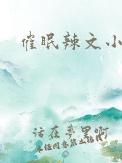 催眠辣文小说网