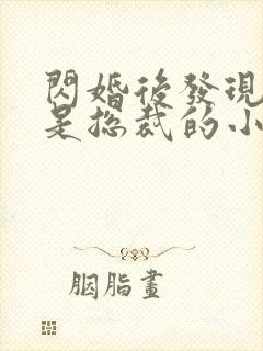 闪婚后发现老公是总裁的小说