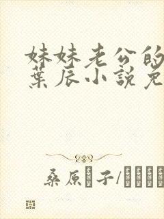 妹妹老公的秘密叶辰小说免费阅读