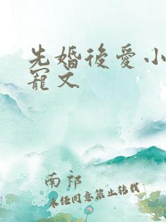 先婚后爱小说甜宠文