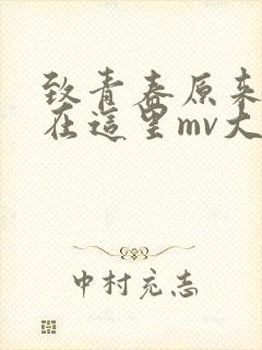 致青春原来你还在这里mv大结局