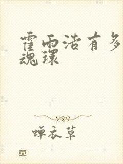 霍雨浩有多少个魂环