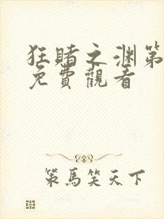 狂赌之渊第一季免费观看