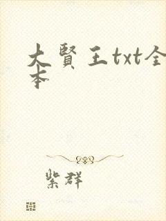 大贤王txt全本