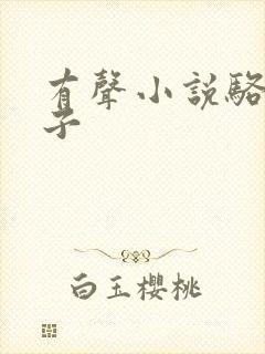 有声小说骆驼祥子