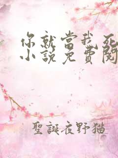 你就当我死了吧小说免费阅读