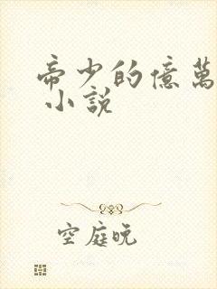 帝少的亿万萌妻 小说