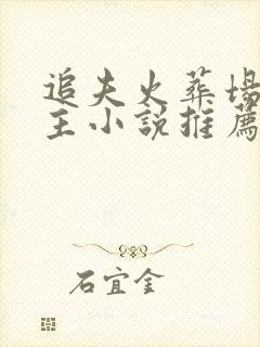 追夫火葬场双男主小说推荐