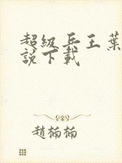 超级兵王叶谦小说下载