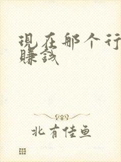 现在那个行业能赚钱