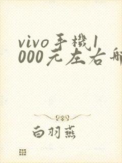 vivo手机1000元左右哪个好