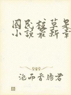 国民校草是女生小说最新章节阅读