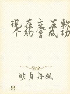 现在交友软件哪个约会成功率最高