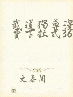 武道独尊漫画免费下拉式36漫画