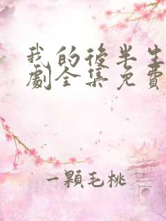 我的后半生电视剧全集免费观看