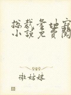 总裁爹地宠上天小说免费阅读全文