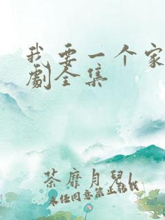 我要一个家电视剧全集