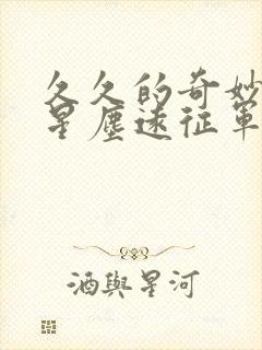 久久的奇妙冒险星尘远征军