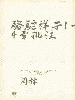 骆驼祥子1一24章批注