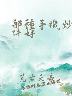 那种手机炒股软件好