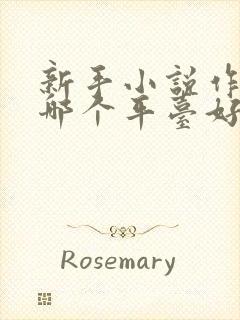 新手小说作者去哪个平台好