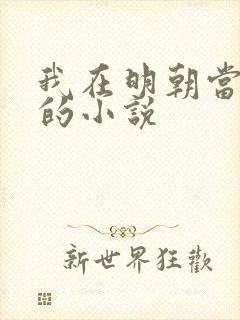 我在明朝当暴君的小说