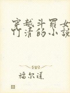 穿越斗罗女主朱竹清的小说