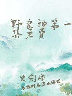 野良神第一季全集免费