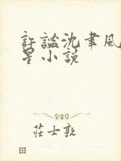 许谧沈聿风宋晚星小说