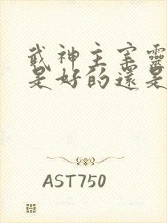 武神主宰灵武王是好的还是坏的