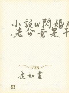 小说w闪婚成宠,老公竟是千亿大佬》