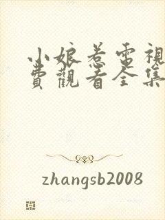 小娘惹电视剧免费观看全集高清