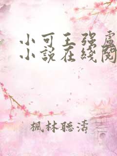 小可王强卢叔的小说在线阅读全文