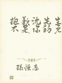 抱歉沈先生孩子不是你的免费完结短剧