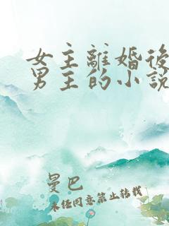 女主离婚后遇到男主的小说