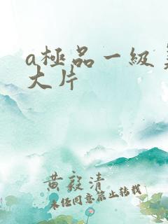 a极品一级美女大片