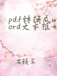 pdf转换成word文本框如何去掉