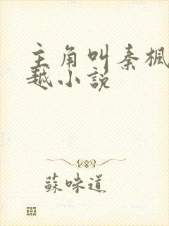 主角叫秦枫的穿越小说