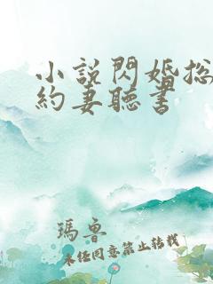 小说闪婚总裁契约妻听书