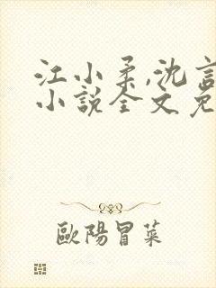 江小柔,沈言城小说全文免费阅读