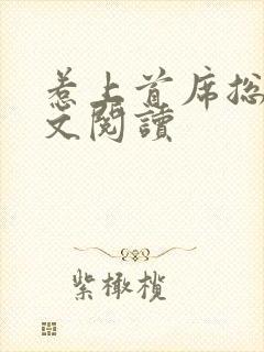 惹上首席总裁全文阅读