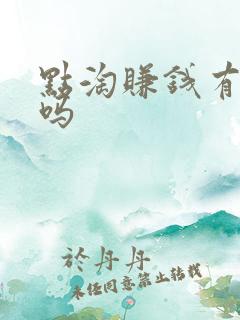 点淘赚钱有风险吗