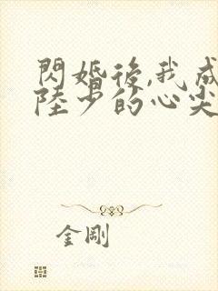 闪婚后,我成了陆少的心尖宠