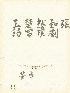 王楚然和张凌赫的电视剧