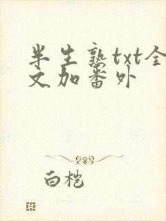 半生熟txt全文加番外