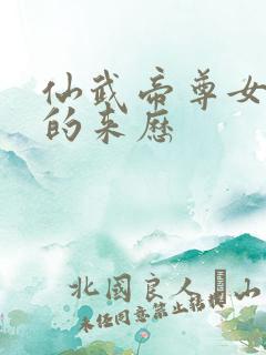 仙武帝尊女圣体的来历